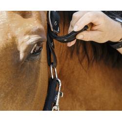 Cabezada De Nylon Equithème - Protector