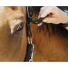 Cabezada De Nylon Equithème - Protector