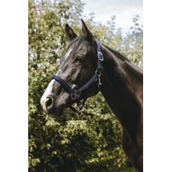 Cabezada De Nylon Equithème - Protector