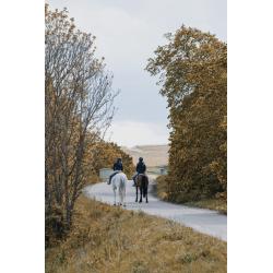 Chaqueta Corta Equithème Originals - Alina