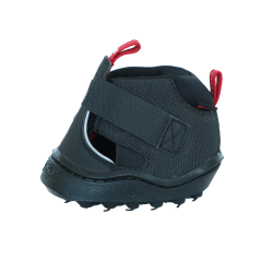Equine Fusion Trekking Shoe Slim