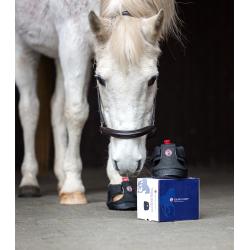 Equine Fusion Trekking Shoe Slim