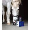 Equine Fusion Trekking Shoe Slim