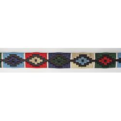 Cinturón Argentino Hombre 5400/35-47