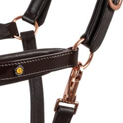 Cavezza Cuoio Lucido Fibbie Rose Gold