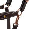 Cavezza Cuoio Lucido Fibbie Rose Gold