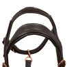 Cavezza Cuoio Lucido Fibbie Rose Gold