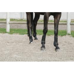 Protectores De Tendón Y De Menudillo Je T'Aime Equithème