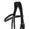 Briglia Con Nasalina Anatomica E Curva