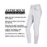 Pantalones Tattini Anthurium De Mujer