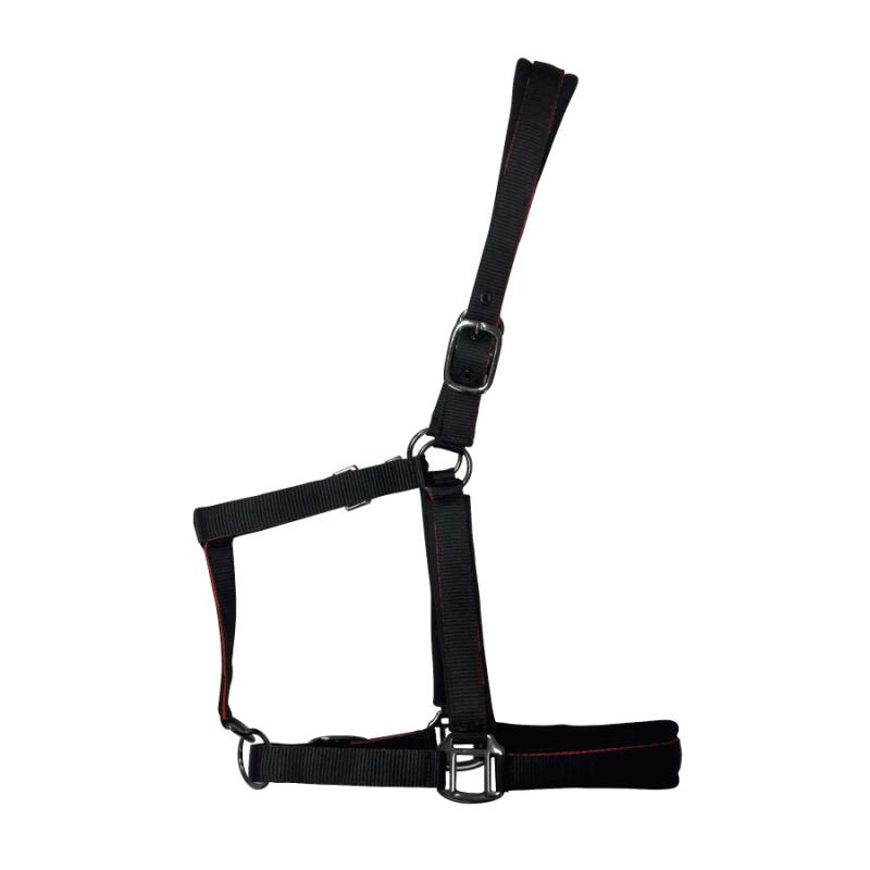 Cabezada De Nylon Con Refuerzo En Neopreno, Hebilla Negra