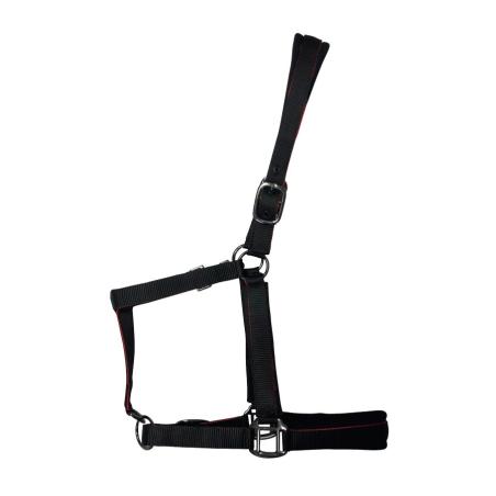 Cabezada De Nylon Con Refuerzo En Neopreno, Hebilla Negra