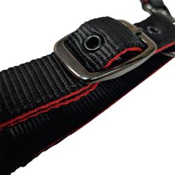 Cabezada De Nylon Con Refuerzo En Neopreno, Hebilla Negra