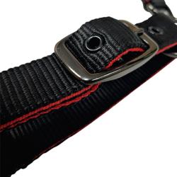 Cabezada De Nylon Con Refuerzo En Neopreno, Hebilla Negra