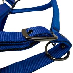 Cabezada De Nylon Con Refuerzo En Neopreno, Hebilla Negra