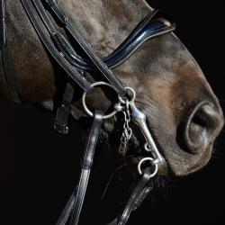 Cabezada De Doble Rienda Kieffer Ultrasoft Amy