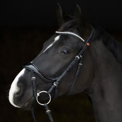 Cabezada Para Filete Kieffer Amy Shine