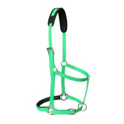 Cabezada De Cuadra De Biotane