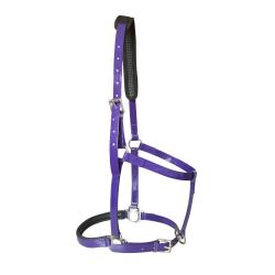 Cabezada De Cuadra De Biotane