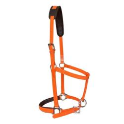 Cabezada De Cuadra De Biotane