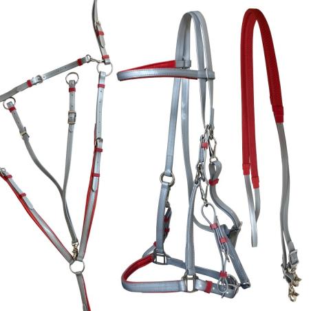 Conjunto Para Endurance