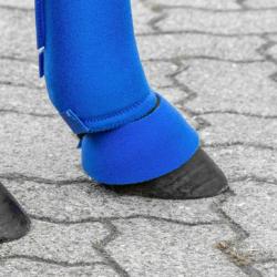 Campanas Para Shetland Usg