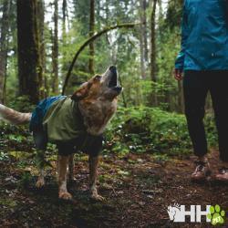 Traje Impermeable Ruffwear Para Perros Sun Shower