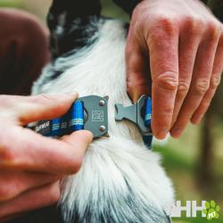 Collar Ruffwear Para Perros Top Rope (New)