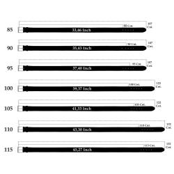 Cinturón Argentino Hombre 5400/35-69