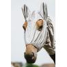 Capucha Anti-Eczema Riding World