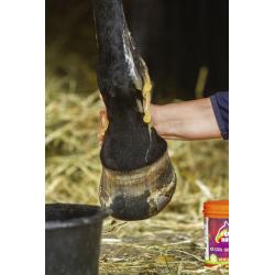 Equinatura Gel Refrigerante