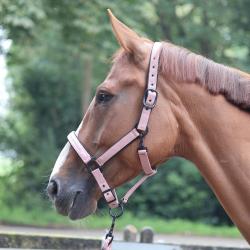 Cabezada Lami-Cell - Charming