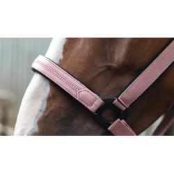 Cabezada Lami-Cell - Charming