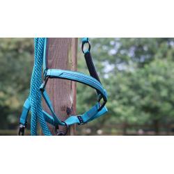 Cabezada Lami-Cell - Charming