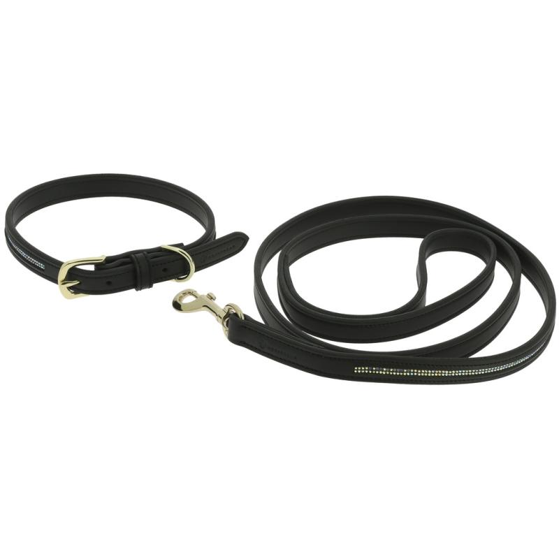 Collar Y Correa Para Perro Equithème - Max