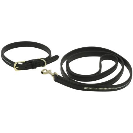 Collar Y Correa Para Perro Equithème - Max