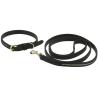 Collar Y Correa Para Perro Equithème - Max