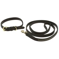 Collar Y Correa Para Perro Equithème - Max
