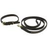 Collar Y Correa Para Perro Equithème - Max