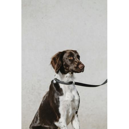 Collar Para Perro Equithème - Nala