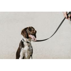 Collar Para Perro Equithème - Nala