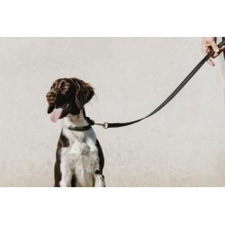 Collar Para Perro Equithème - Nala