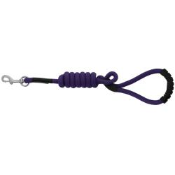 Correa Para Perro Con Asa Riding World - Lucky