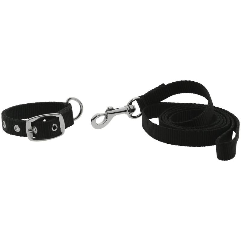 Collar Y Correa Para Perro Riding World - Oscar