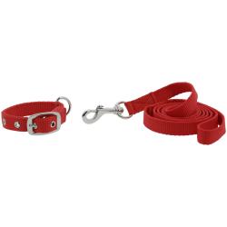 Collar Y Correa Para Perro Riding World - Oscar