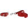 Collar Y Correa Para Perro Riding World - Oscar