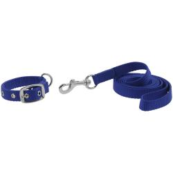 Collar Y Correa Para Perro Riding World - Oscar