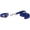 Collar Y Correa Para Perro Riding World - Oscar