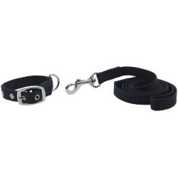 Collar Y Correa Para Perro Riding World - Oscar