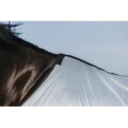Camisa Riding World - Belly Mesh